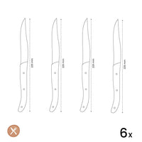 Amefa - Promo Steak 4 Steakmessen - Zwart Steakmessen Amefa 