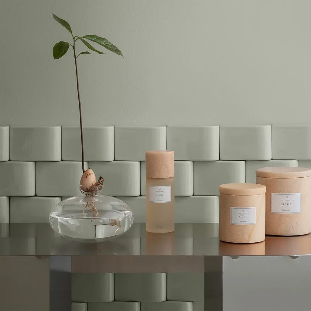Blomus - Avo avocado glazen vaas kiempot maat S Avocado vaas Blomus 